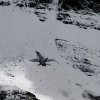 Aviation